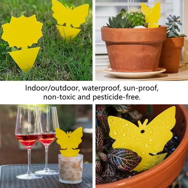 Sticky Fruit Fly Fungus Gnat Traps