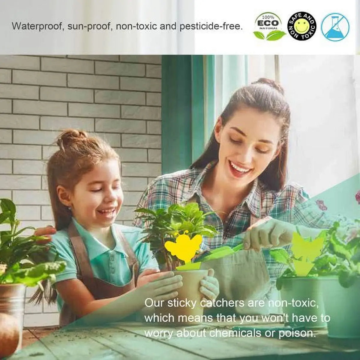 Sticky Fruit Fly Fungus Gnat Traps