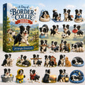 A Day of Border Collie Advent Calendar 2026 - 24-Day Festive Countdown