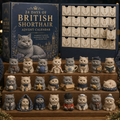 2026 British Shorthair Advent Calendar | 24-Day Festive Countdown Calendar